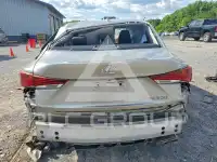 2019 Lexus IS photo
