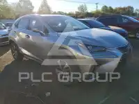 2019 Lexus NX фото