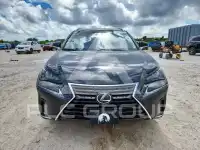 2019 Lexus NX photo