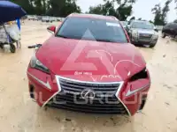 2019 Lexus NX фото