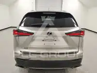 2019 Lexus NX фото
