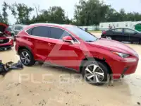 2019 Lexus NX фото