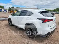 2019 Lexus NX фото