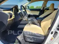 2019 Lexus NX фото