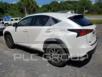 2019 Lexus NX фото