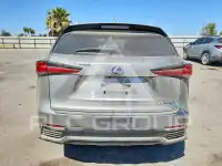 2019 Lexus NX фото