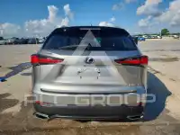 2019 Lexus NX фото