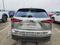 2019 Lexus NX фото