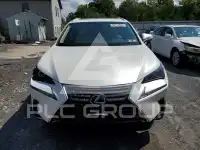 2019 Lexus NX фото