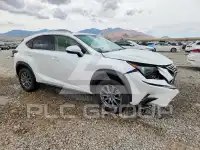2019 Lexus NX фото
