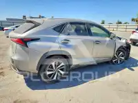2019 Lexus NX фото