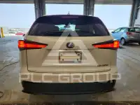 2019 Lexus NX фото
