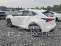 2019 Lexus NX фото