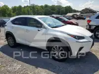 2019 Lexus NX фото