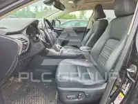 2019 Lexus NX фото