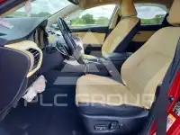 2019 Lexus NX фото