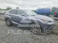 2019 Lexus NX фото