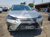 2019 Lexus NX фото