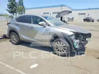 2019 Lexus NX фото