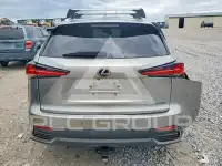 2019 Lexus NX фото