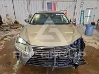2019 Lexus NX фото
