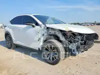2019 Lexus NX фото