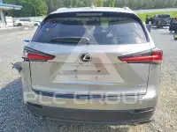 2019 Lexus NX фото
