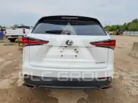 2019 Lexus NX фото