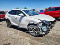 2019 Lexus NX фото
