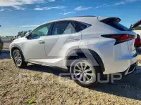 2019 Lexus NX фото