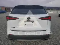2019 Lexus NX фото