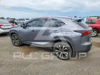 2019 Lexus NX фото