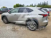 2019 Lexus NX photo