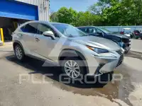 2019 Lexus NX фото