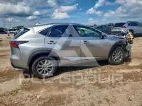 2019 Lexus NX фото