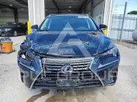 2019 Lexus NX фото