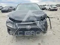 2019 Lexus NX фото