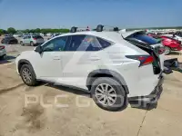 2019 Lexus NX фото