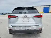 2019 Lexus NX фото