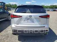 2019 Lexus NX фото