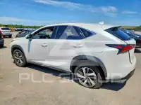 2019 Lexus NX фото