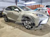 2019 Lexus NX фото