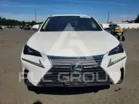 2019 Lexus NX фото