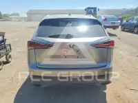 2019 Lexus NX фото