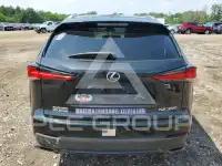 2019 Lexus NX фото