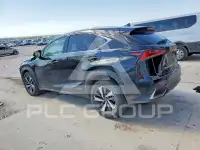 2019 Lexus NX фото