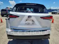 2019 Lexus NX фото