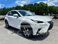 2019 Lexus NX фото