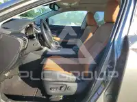 2019 Lexus NX фото