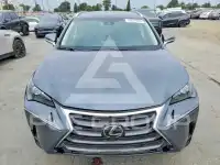 2019 Lexus NX фото
